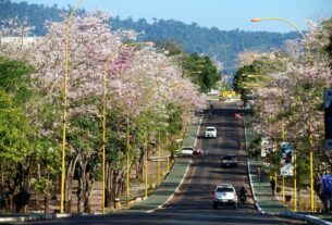Parauapebas na Primavera