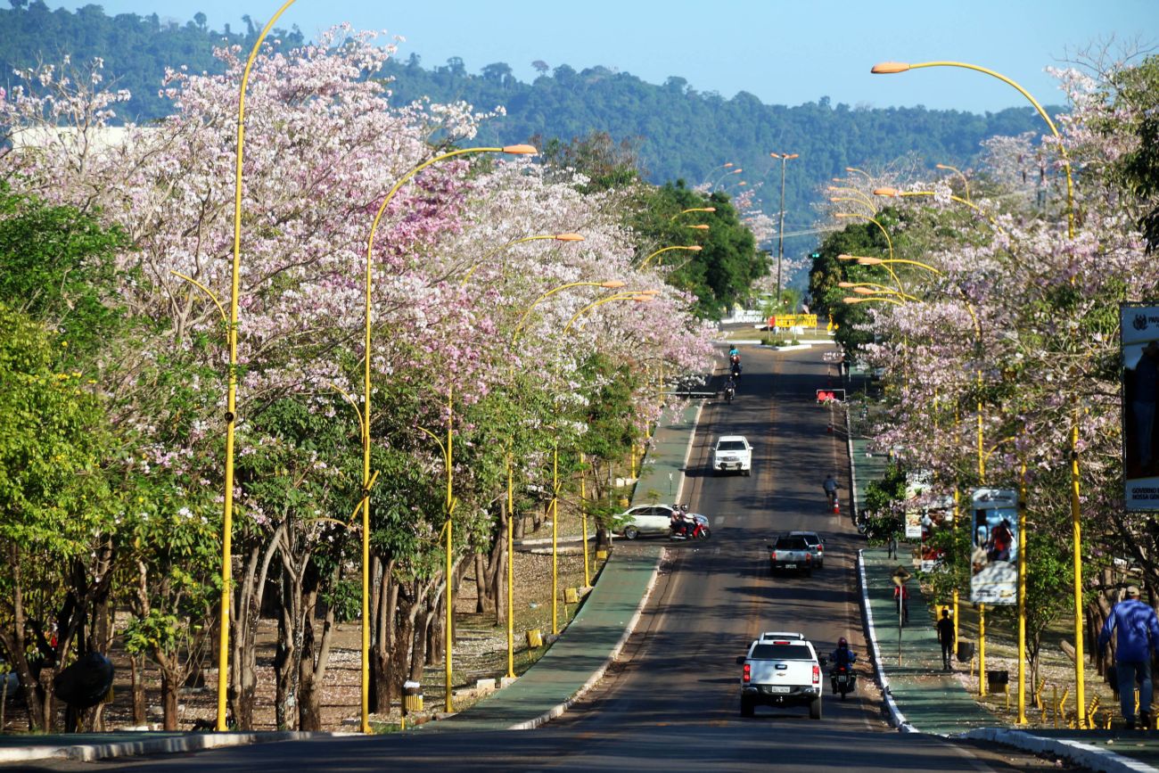 Parauapebas na Primavera