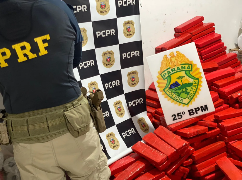 apreensão de meia tonelada de maconha
