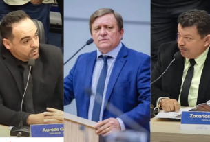Contas de Darci Lermen