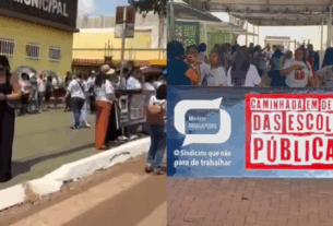 valorização da educação pública