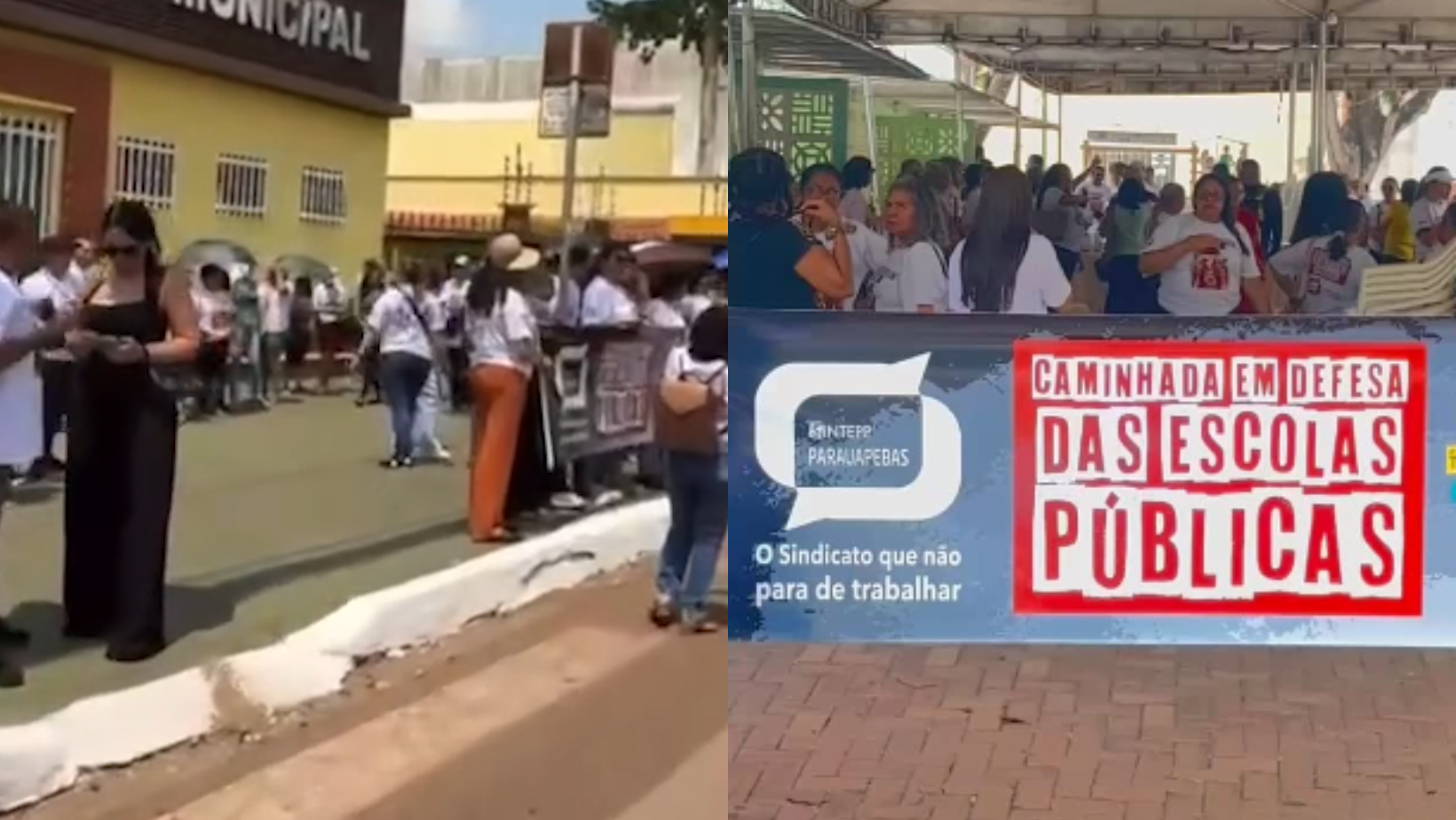 valorização da educação pública