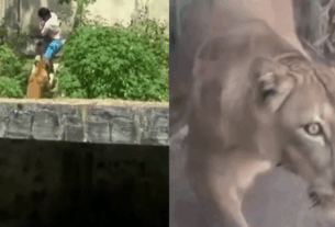 Tragédia na Bica envolve