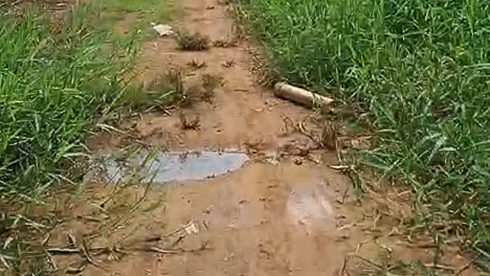 Rua abandonada Califórnia Parauapebas