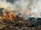 incêndio fumaça Parauapebas bairros
