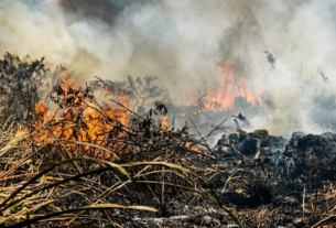 incêndio fumaça Parauapebas bairros