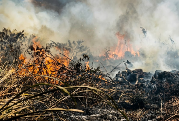 incêndio fumaça Parauapebas bairros