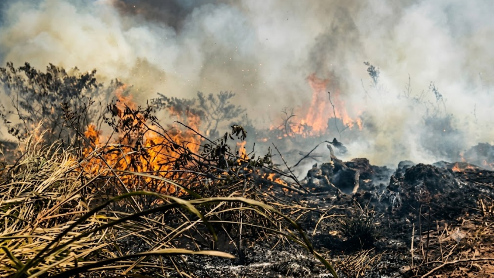 incêndio fumaça Parauapebas bairros