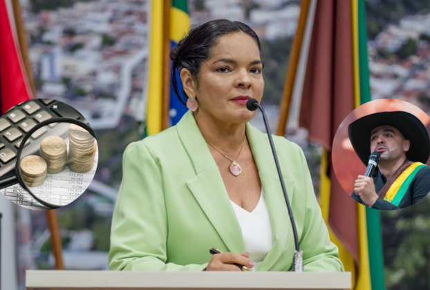 consultoria contábil em Parauapebas
